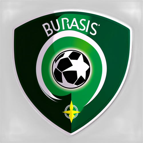 Bursaspor ve Düzcespor Logoları Futbol Stickerı