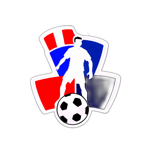Huy hiệu cầu thủ bóng đá hoạt động trong giải vô địch Pháp