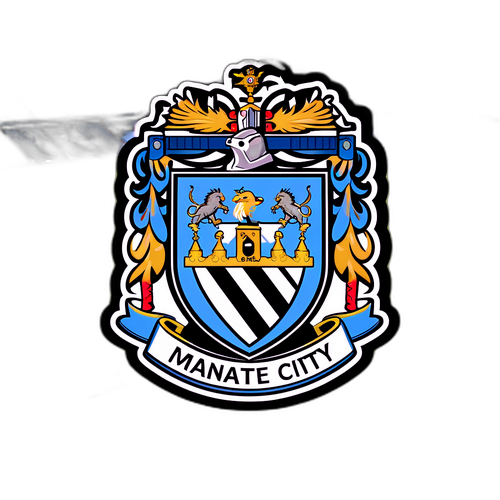 Stiker Aksi Dramatis Man City vs Newcastle