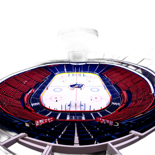 Hockey Rink Excitement