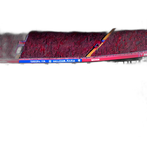 Atmosfera de meci între Bologna și Torino